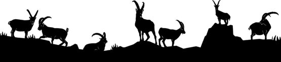 Silhouette aus Blech Steinböcke Teil 1
