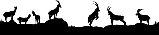 Silhouette aus Blech Steinböcke Teil 2