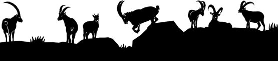 Silhouette aus Blech Steinböcke Teil 3