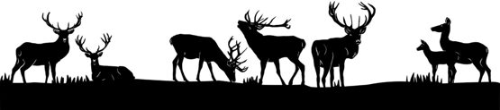 Silhouette aus Blech Hirsch Teil 1