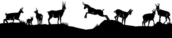 Silhouette aus Blech Gämse Teil 1