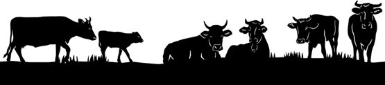 Silhouette aus Blech Kühe am weiden Teil 2