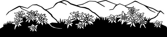 Silhouette Edelweiss Gebirge