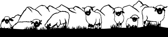Silhouette Schwarznasenschafe 90