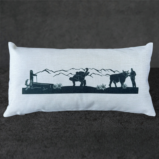 Kissen Schwingfest 42x22cm