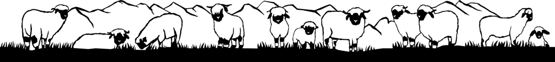 Silhouetten aus Blech 180cm Schwarznasenschafe