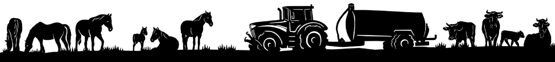 Silhouetten aus Blech 180cm Pferde Traktor Kühe
