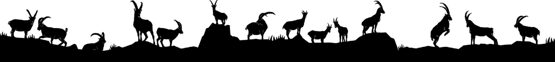 Silhouetten aus Blech 180cm Steinböcke