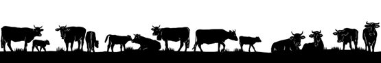 Silhouetten aus Blech 180cm Kühe am weiden